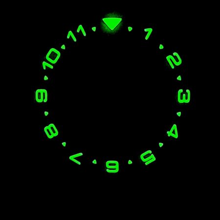 skx007 bezel insert lumed dual time lumeshot